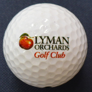 Lyman Orchard