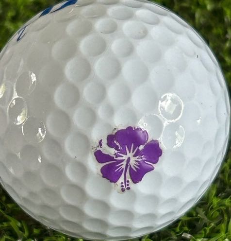 Golfer's DIY personal logo