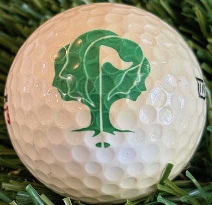 Four Oaks Golf Classic, Iowa