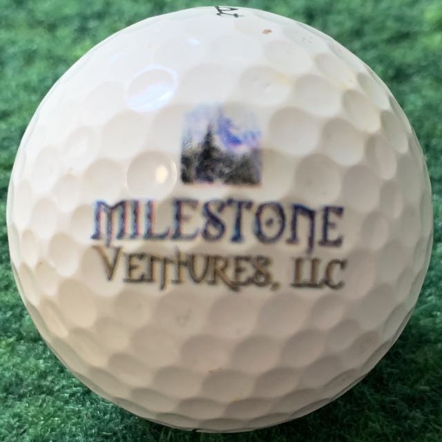 Milestone Ventures LLC