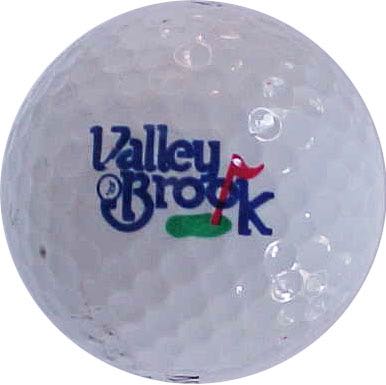 Valley Brook CC, McMurray, PA