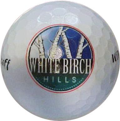 White Birch Hills GC, Bay City, MI