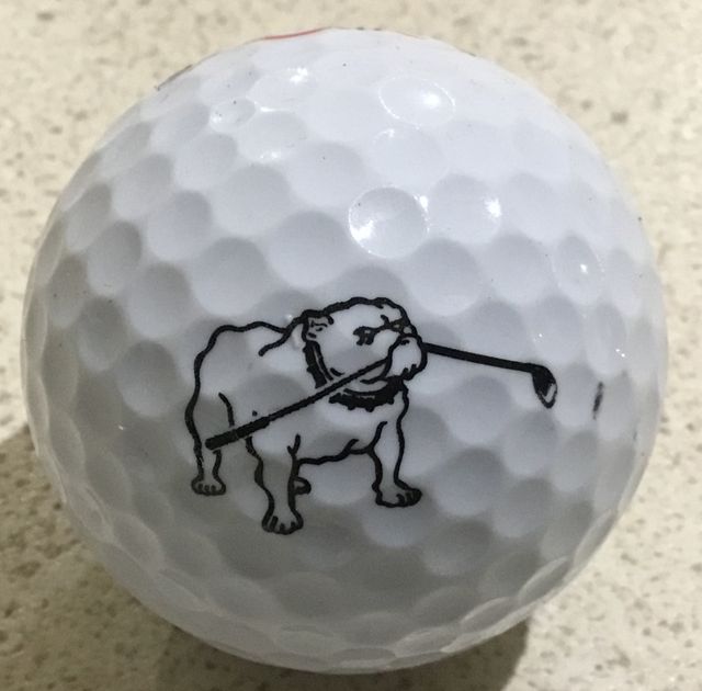 Bulldog plus bent golf club