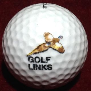 Winged Pheasant Golf Links (NY)