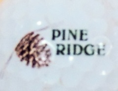 Pine Ridge CC, Beverly Hills, FL