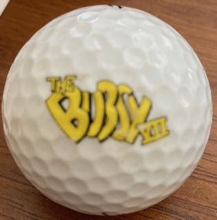 Bubsy Video Game