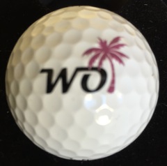 WO + Palm