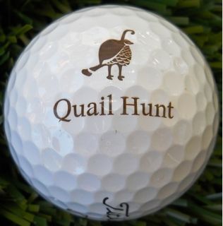 Quail Hunt Tournament, Troon