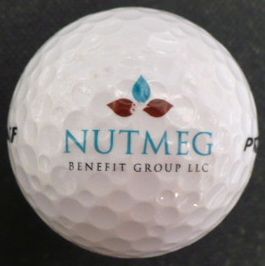 Nutmeg Benefit Group