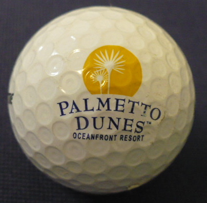 Palmetto Dunes #2
