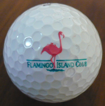 Flamingo Island
