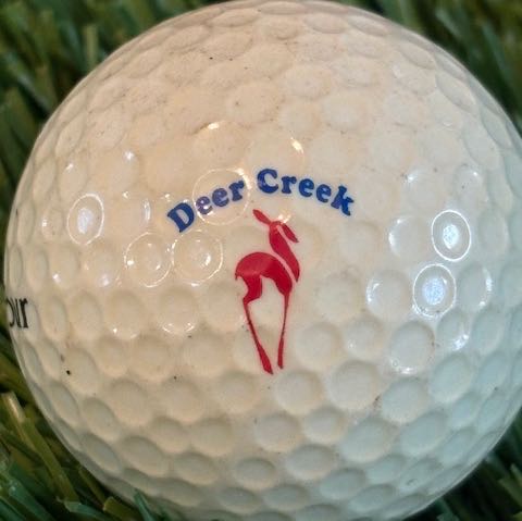 Deer Creek GR, Davenport, FL