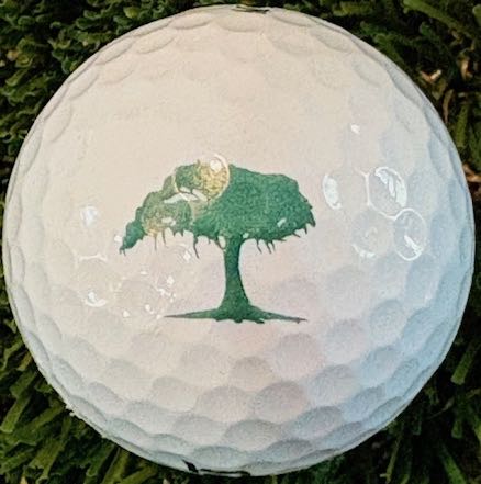 Shadow Wood CC, Bonita Springs, FL