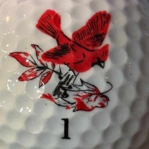 Cardinal GC, Greensboro, NC