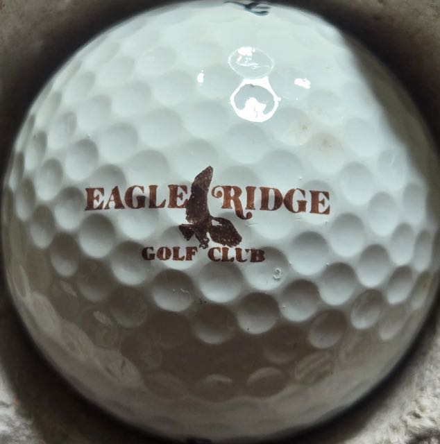 Eagle Ridge GC, Fort Myers, FL