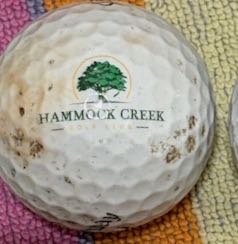 Hammock Creek, Palm City, FL