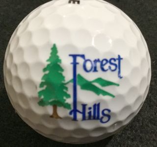Forest Hills GC, Forest Lake, MN