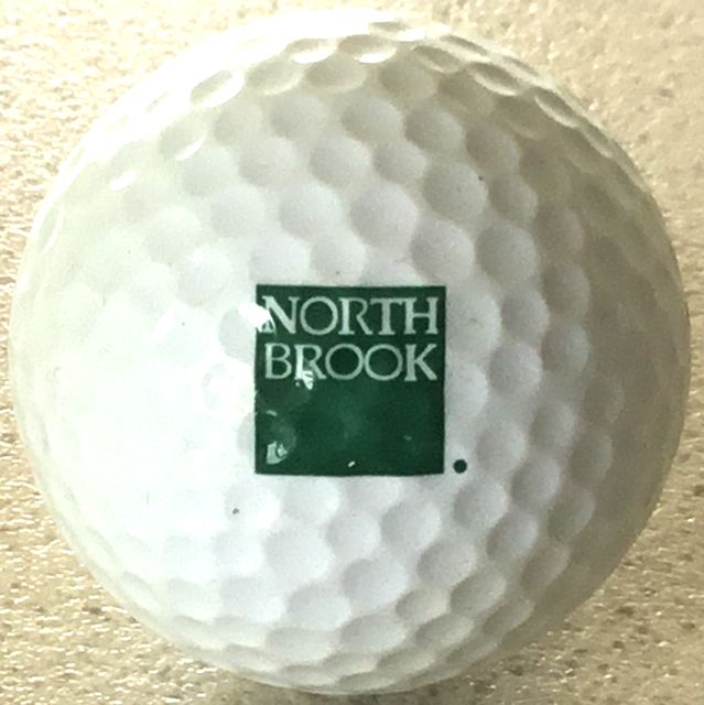 North Brook Insurance Co.