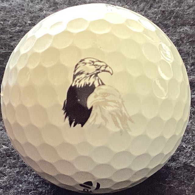 Twin Eagles GC, Naples, FL