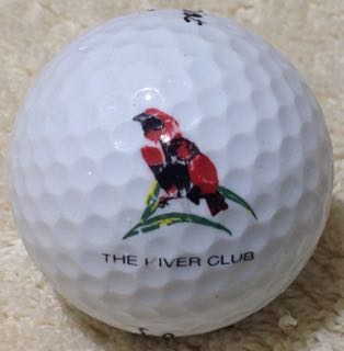 (The) River Club