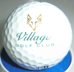 Village Golf Club