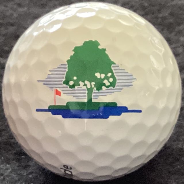 Golf de Joyenval, Chambourcy, France