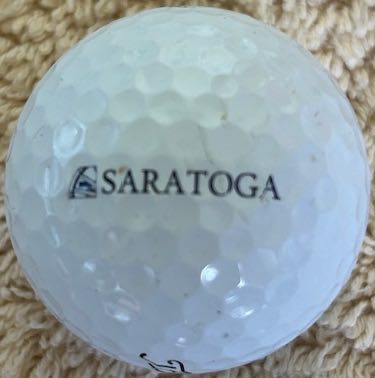 Saratoga Investment Co