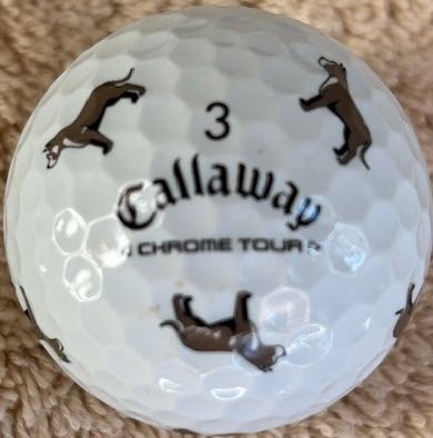 Let the Big Dog Eat - Pit Bull