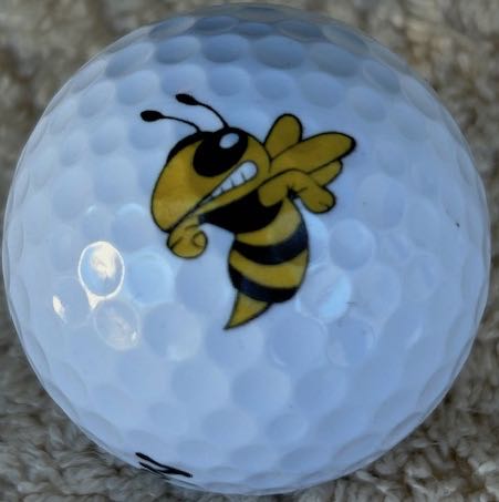 Georgia Tech University