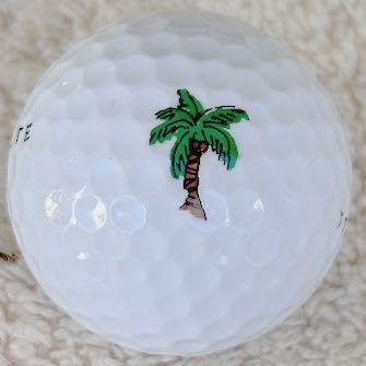 GolfDotz Palm Tree Sticker