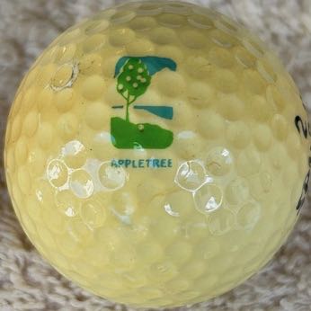 Apple Tree GC, Fountain, CO