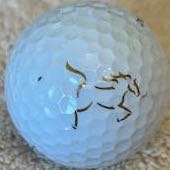 Magna GC, Aurora, ON