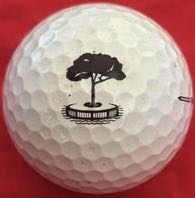 TPC Sawgrass - 17th Green