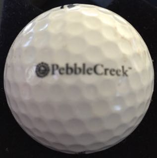 Pebble Creek GC, Goodyear, AZ
