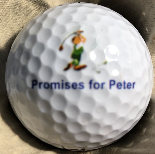 Promises For Peter