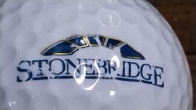 Stonebridge, Ann Arbor, MI