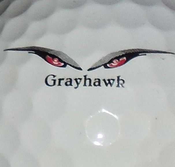 Grayhawk (Scottsdale, AZ)