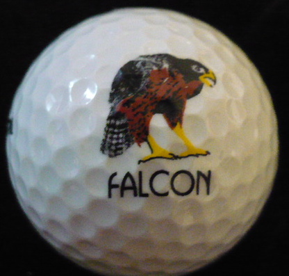 Wild Wing Falcon, Conway, SC