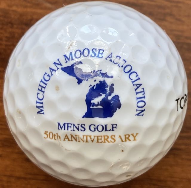 Michigan Moose Association  