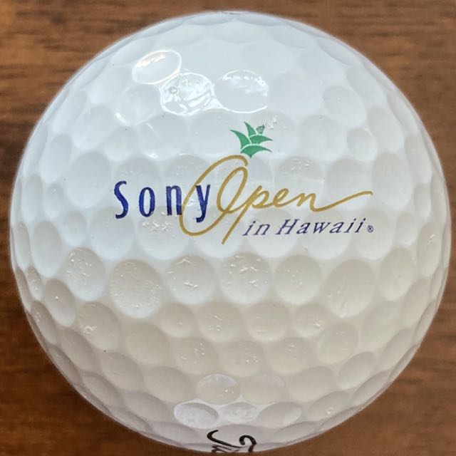 Sony Open